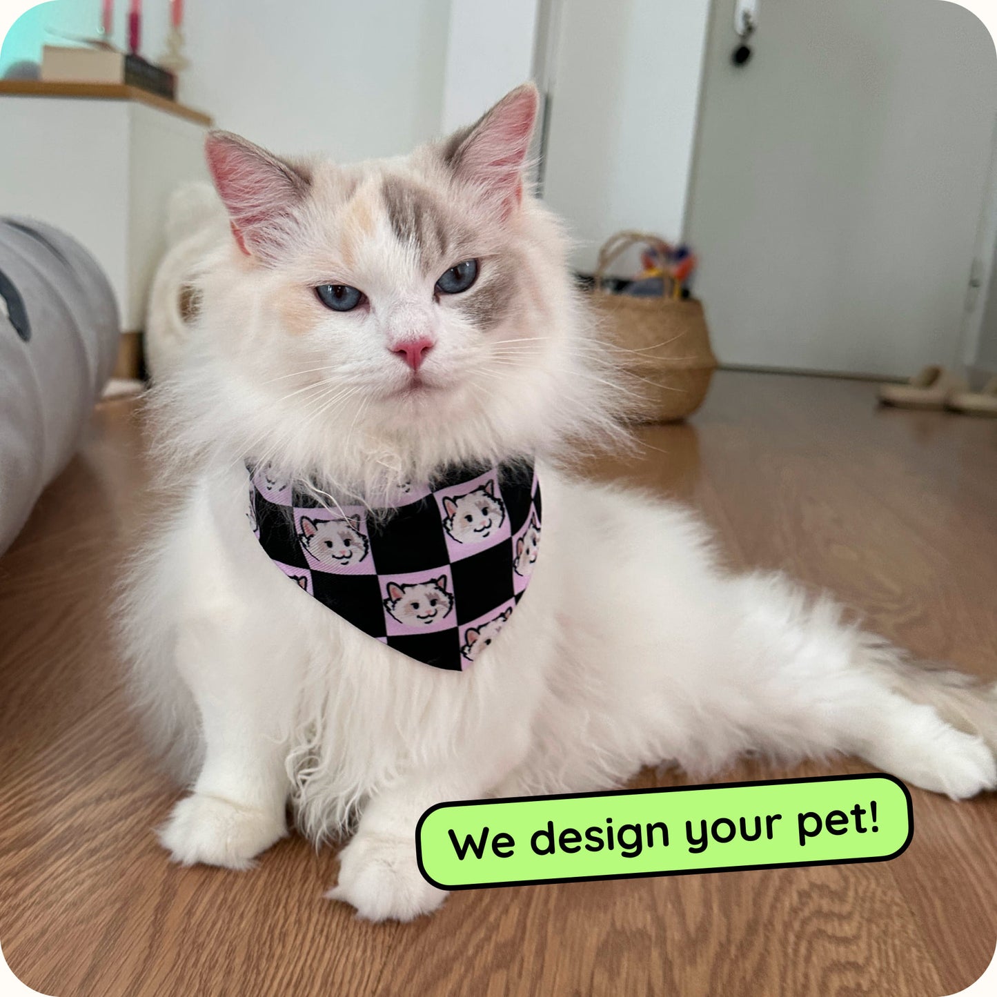 Custom Dog & Cat Collar Bandana