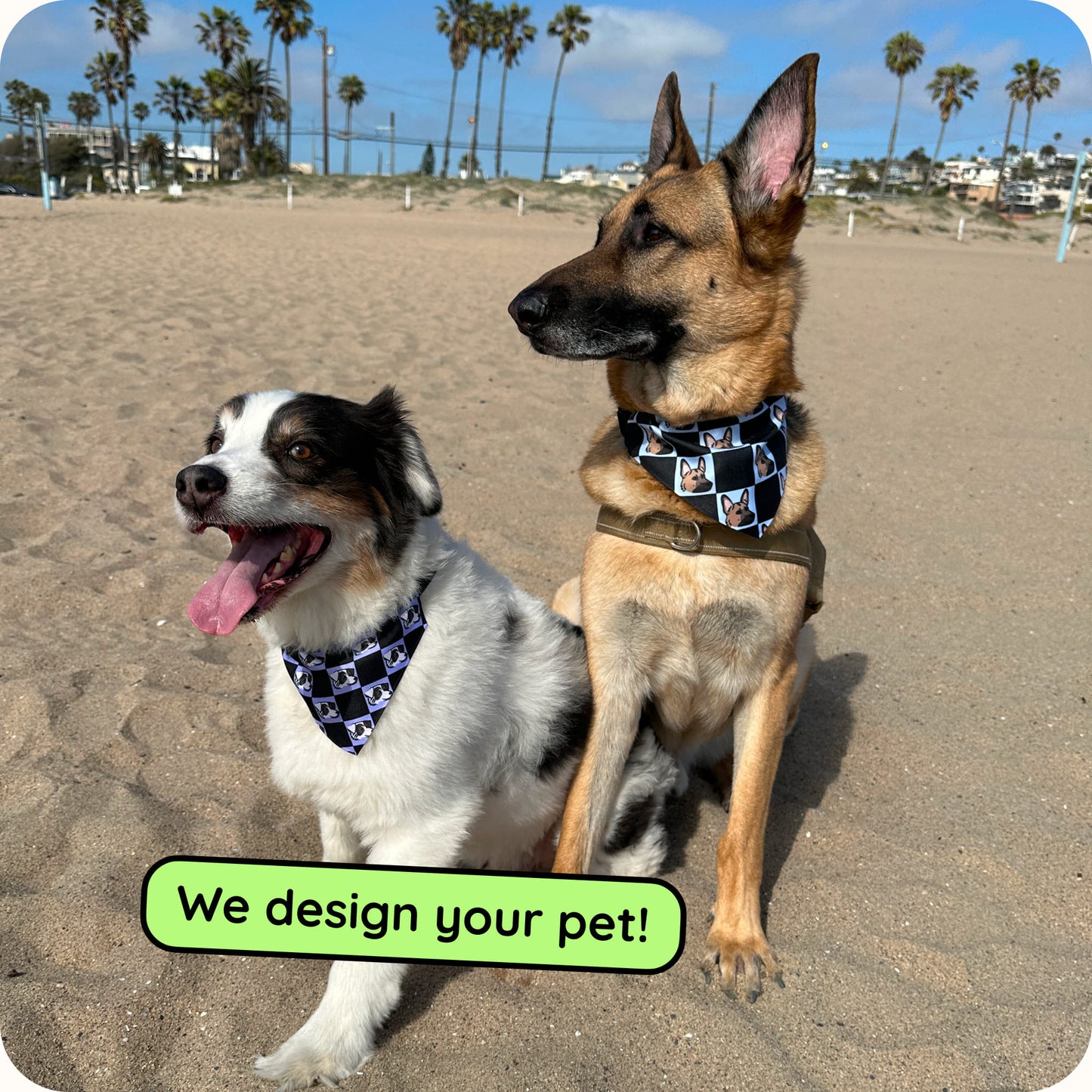 Custom Dog & Cat Collar Bandana