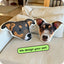 Custom “Illustration” Pet Pillow