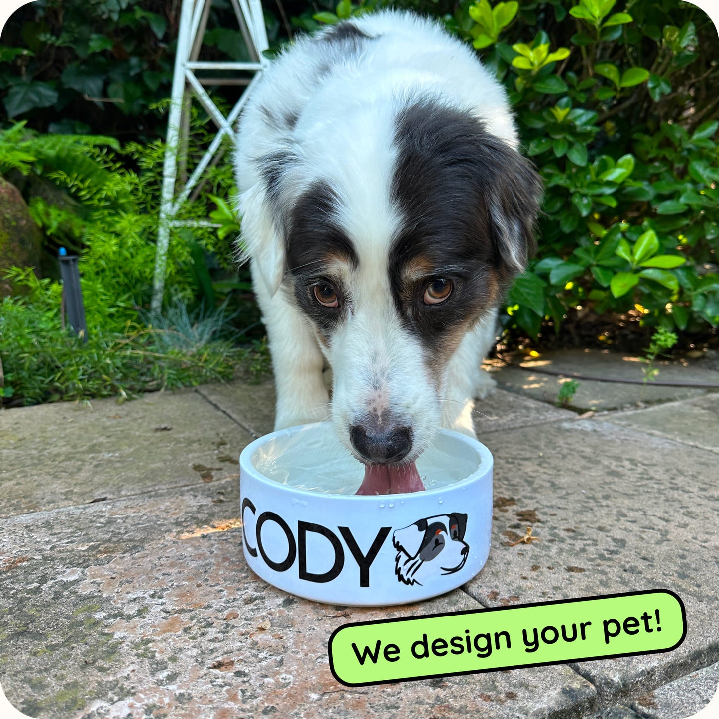 Custom Pet Bowl