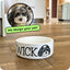 Custom Pet Bowl