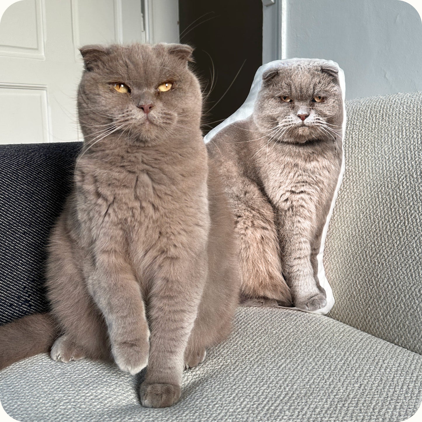 Custom “Photo” Pet Pillow